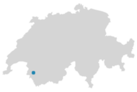 Schweizkarte: Wo ist Evionnaz?