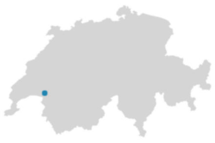 Schweizkarte: Wo ist Jongny?