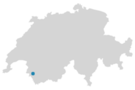 Schweizkarte: Wo ist Salvan?