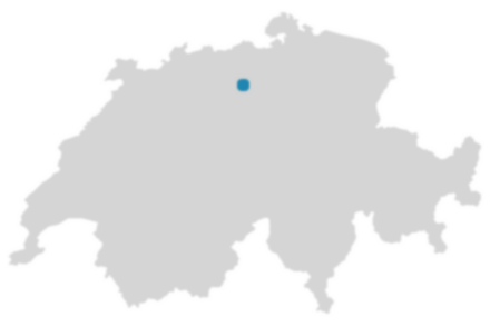 Schweizkarte: Wo ist Seengen?