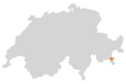 Wo liegt Alp Grüm?