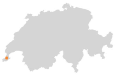 Wo liegt Chambésy?