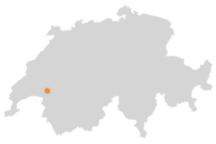 Wo liegt Châtel-Saint-Denis?