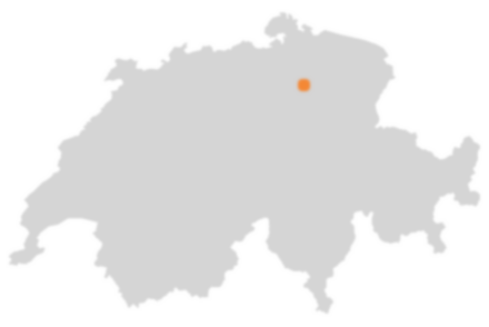 Wo liegt Wetzikon?